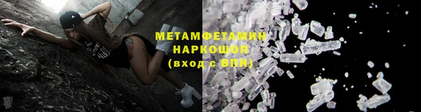 прущие грибы Анжеро-Судженск