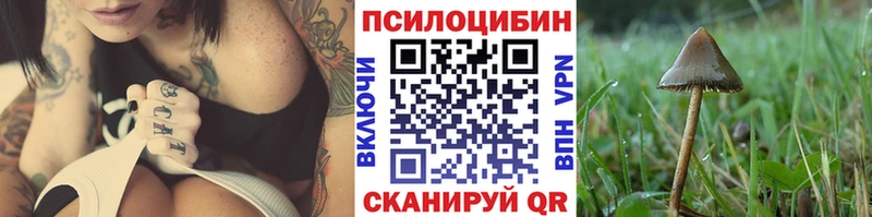 купить   Сосновка  Псилоцибиновые грибы мухоморы 